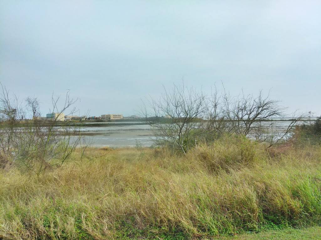 Pizza State | restaurant | 6133 Ennis Joslin Rd, Corpus Christi, TX 78412, USA | 3619933283 OR +1 361-993-3283