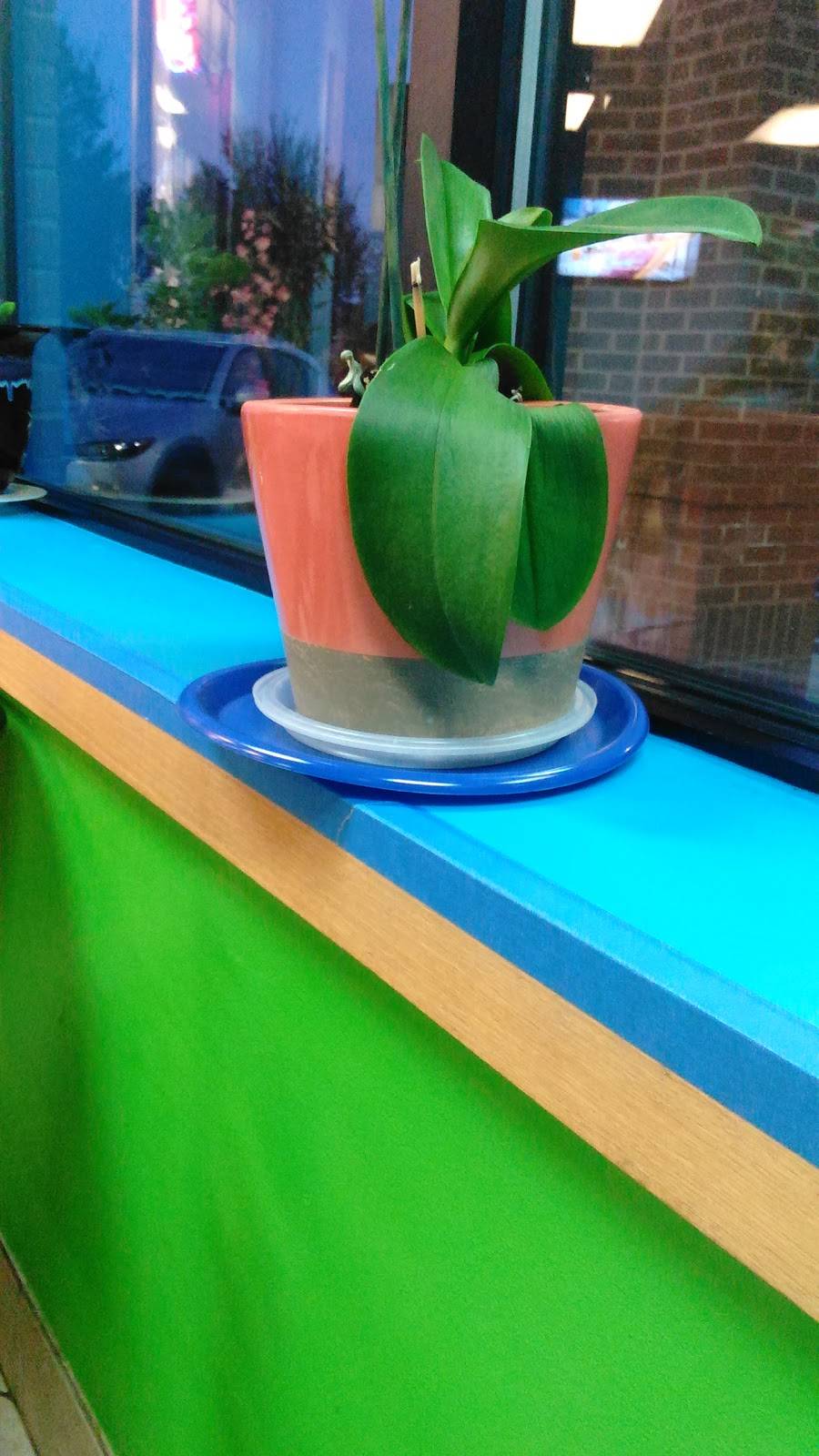 Tokyo One Express | restaurant | 8634 Camfield St, Charlotte, NC 28277, USA | 7043418080 OR +1 704-341-8080