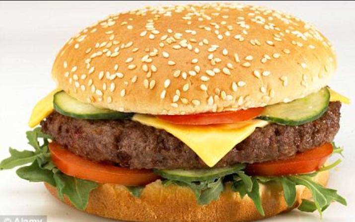 Fuzzys Sports Bar & Grill | restaurant | 1270 S Highland Ave, Clearwater, FL 33756, USA | 7274459600 OR +1 727-445-9600