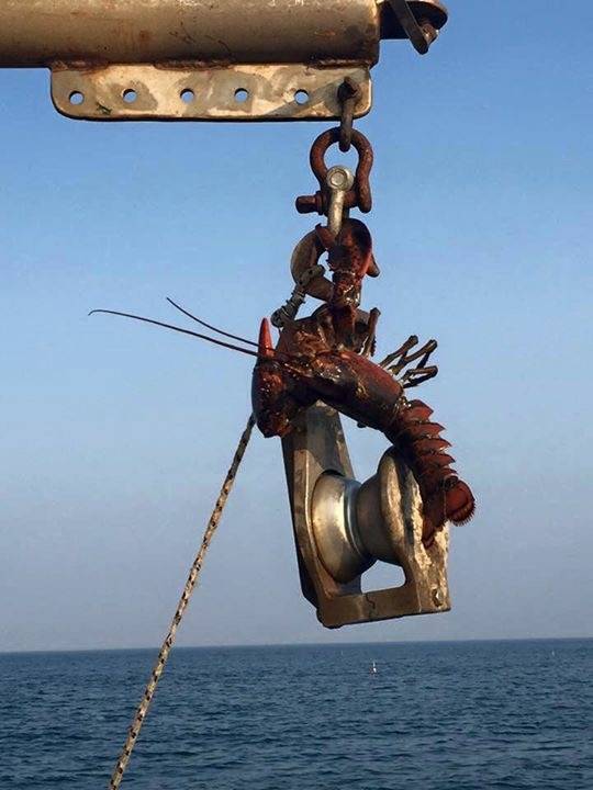 Captain Bobs Lobster Tours & Fishing Charters | restaurant | 1 Ocean Blvd, Hampton, NH 03842, USA | 6032311698 OR +1 603-231-1698