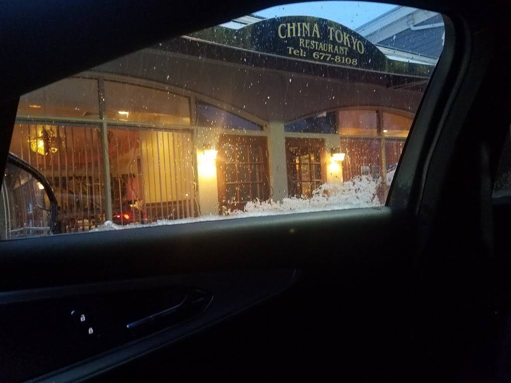 China Tokyo | restaurant | 3292 Franklin Ave, Millbrook, NY 12545, USA | 8456776502 OR +1 845-677-6502