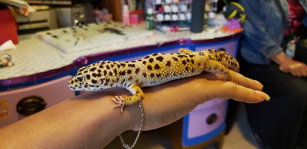 Singhs Roti Shop | restaurant | 692 Columbia Rd, Dorchester, MA 02125, USA | 6172827977 OR +1 617-282-7977