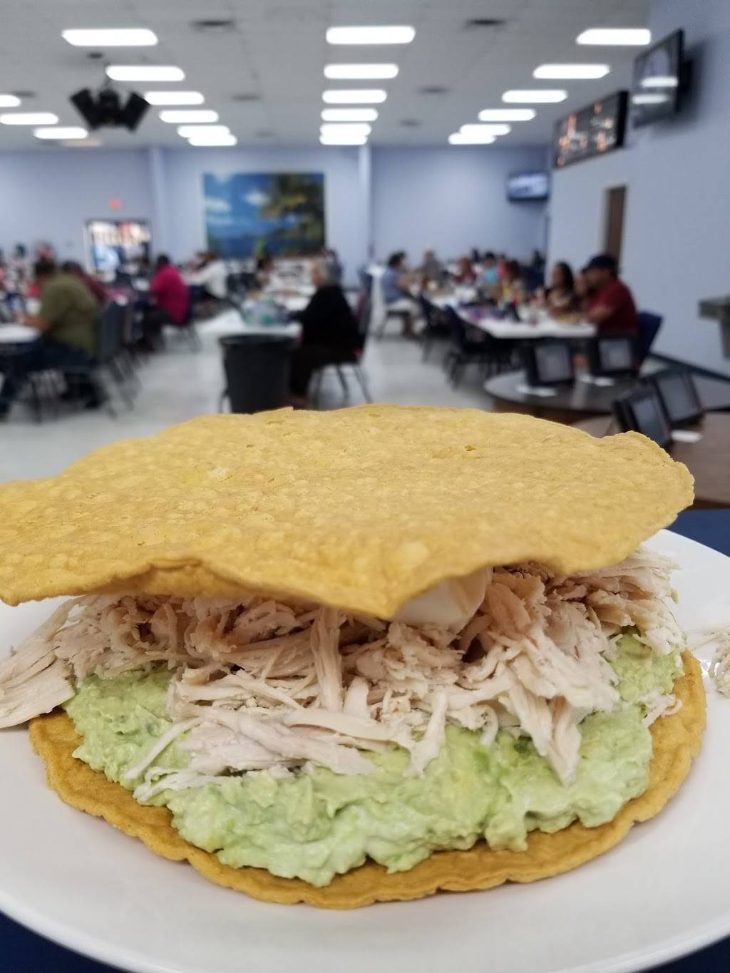 Bingo TACO | restaurant | 6046 Ayers St, Corpus Christi, TX 78415, USA | 3615101856 OR +1 361-510-1856