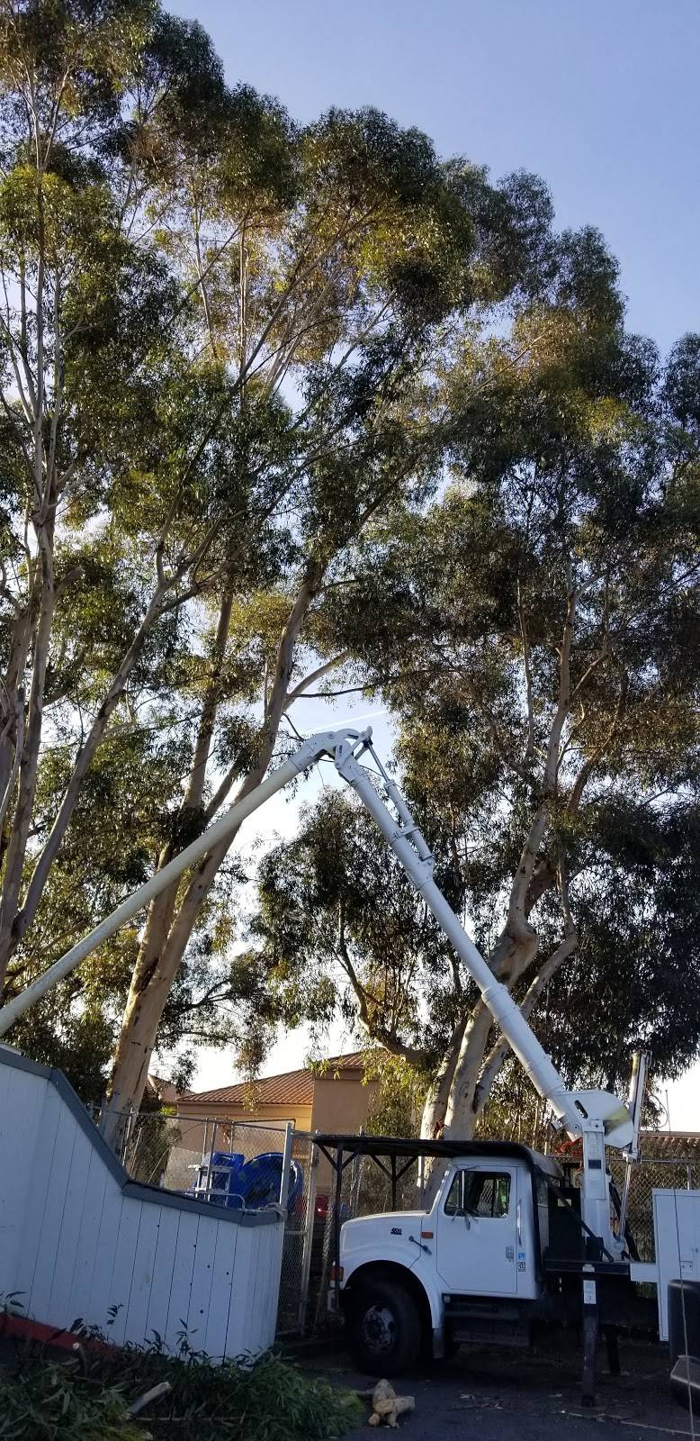 Solterra Ecoluxury Apartments at Scripps Highlands San Diego | restaurant | 9865 Erma Rd, San Diego, CA 92131, USA | 8584444500 OR +1 858-444-4500