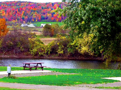 Tall Pines Campground & River Adventures | restaurant | 100 Tall Pines Ln, Bainbridge, NY 13733, USA | 6075638271 OR +1 607-563-8271