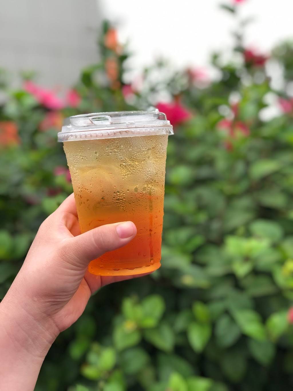 Le Biarritz Spirit | restaurant | 2642 Newport Blvd, Costa Mesa, CA 92627, USA | 9494269152 OR +1 949-426-9152