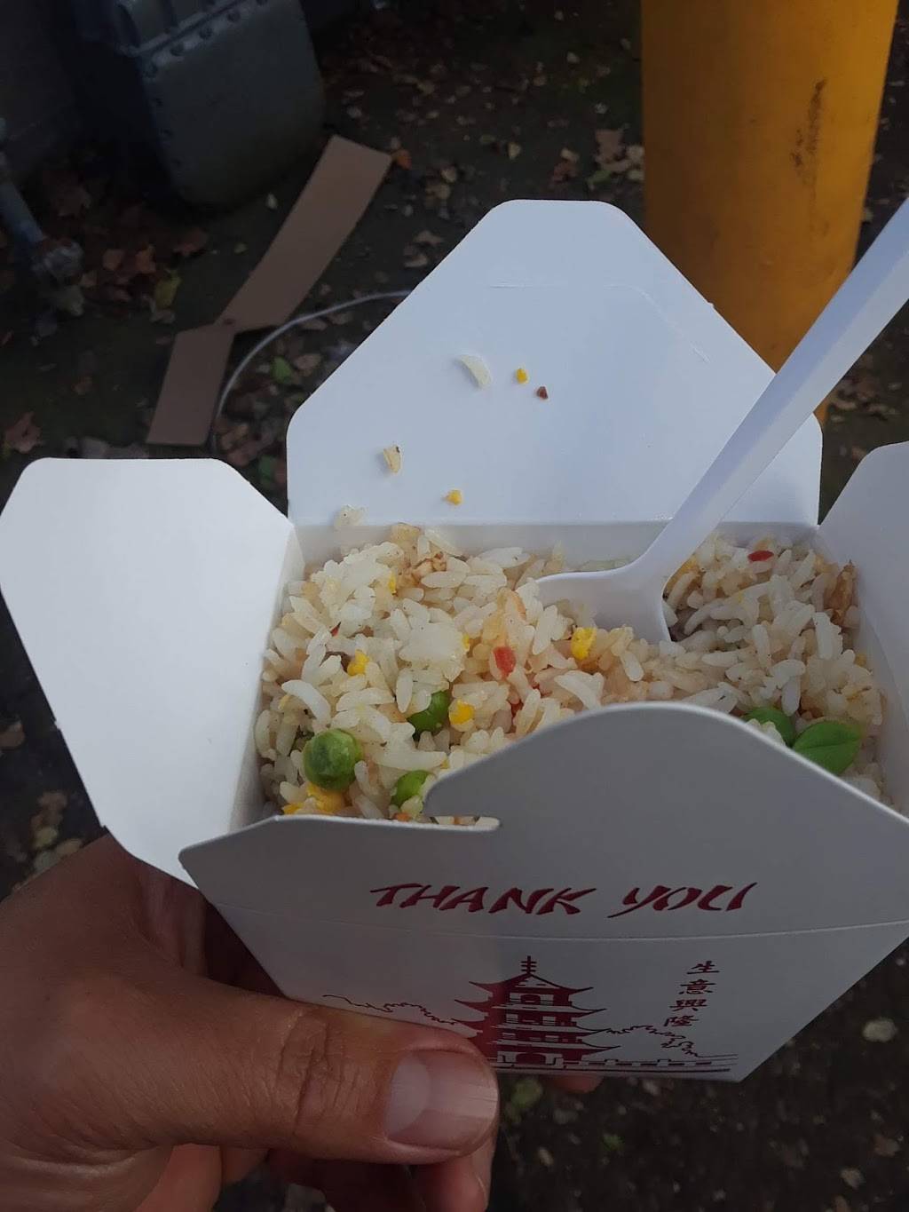 Best BBQ Chinese Food | restaurant | 180 Greenhouse Marketplace, San Leandro, CA 94577, USA | 5104838822 OR +1 510-483-8822