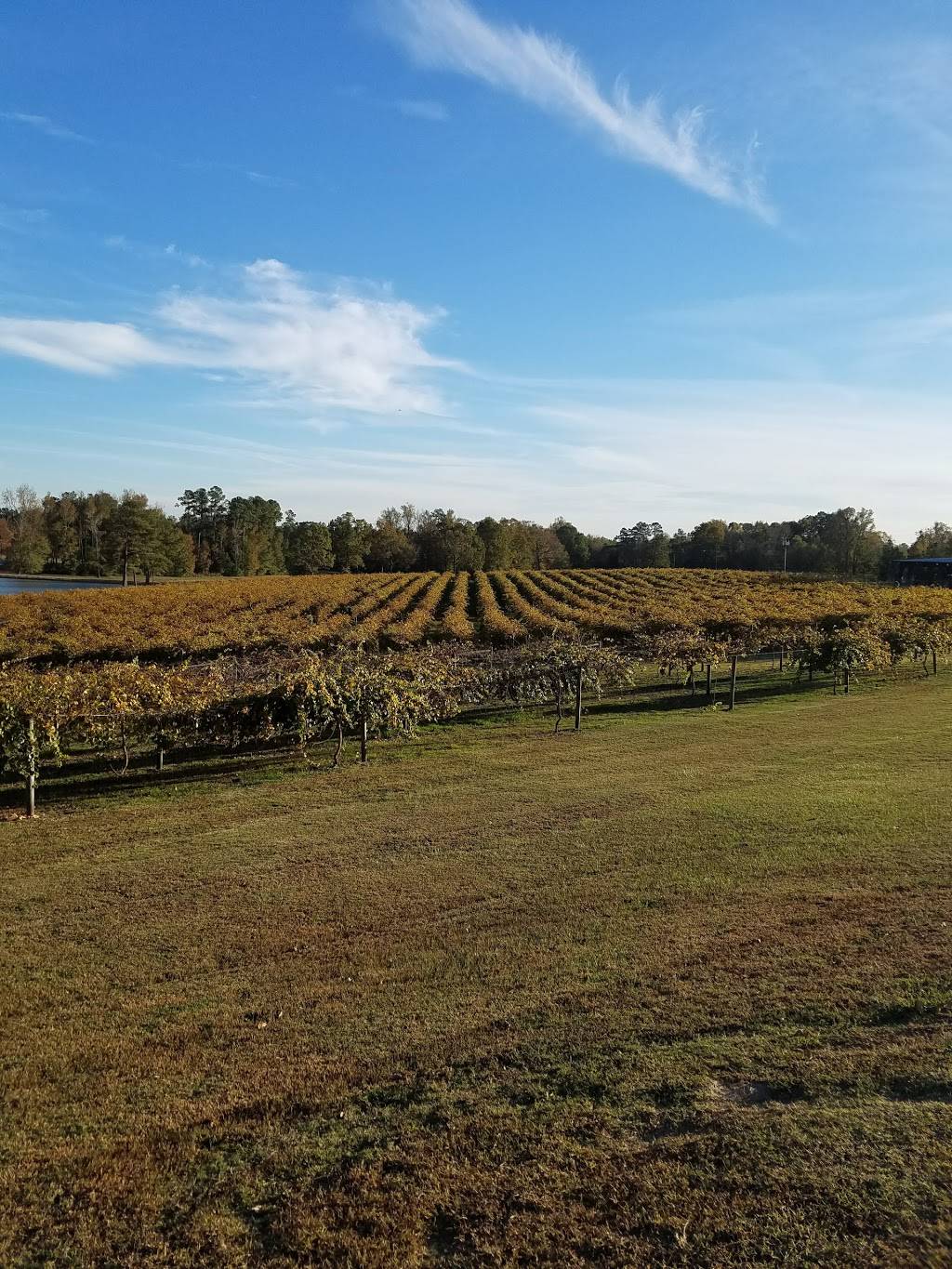 Gregory Vineyards | restaurant | 275 Bowling Spring Dr, Angier, NC 27501, USA | 9198947700 OR +1 919-894-7700