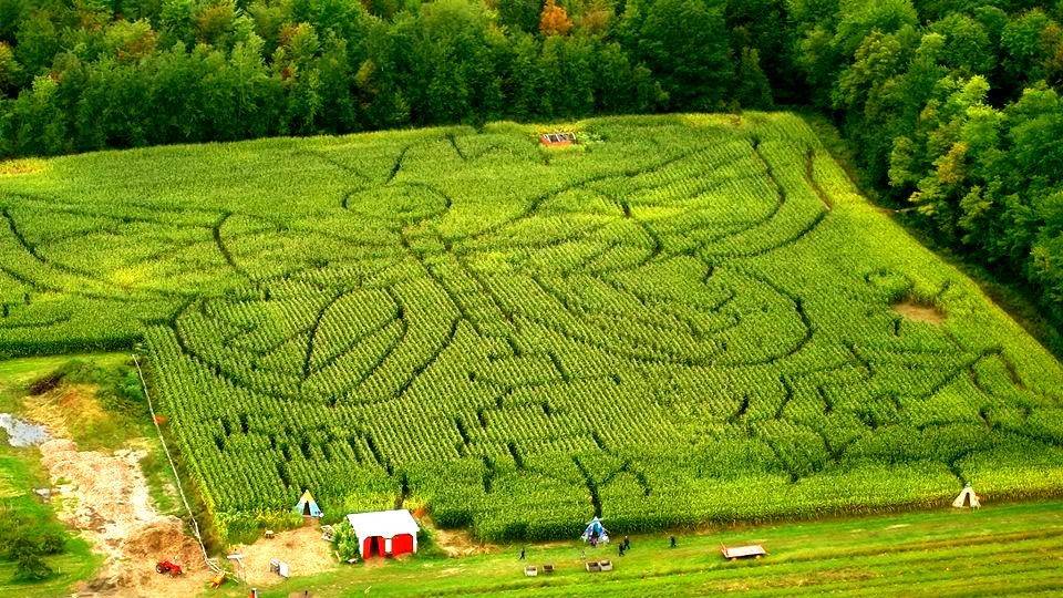Verger Labonté | restaurant | 2291 Boulevard Perrot, Notre-Dame-de-lÎle-Perrot, QC J7V 8P4, Canada | 5144535379 OR +1 514-453-5379