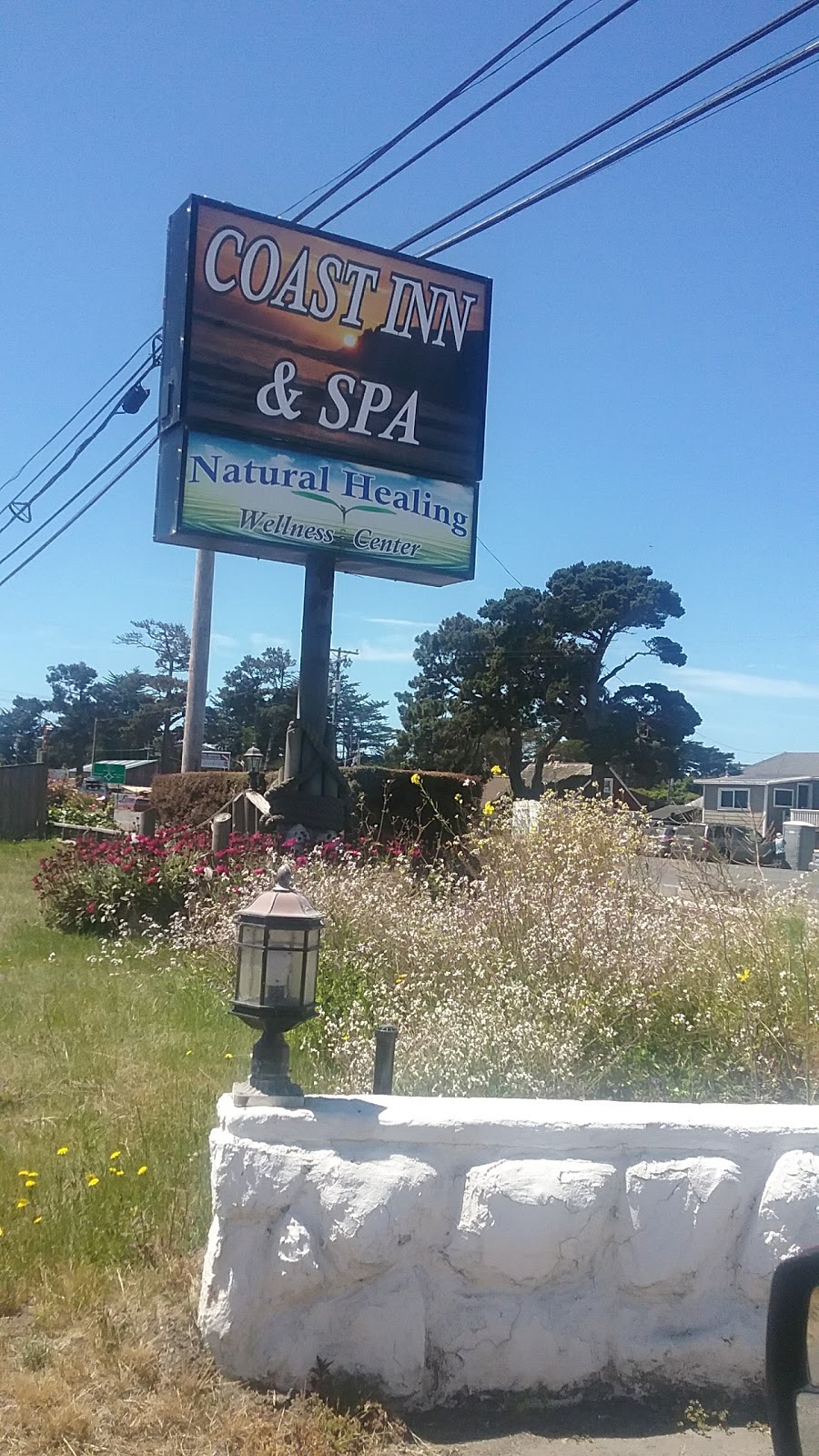 CapHe (Raw Food Cafe) | cafe | 18661 CA-1, Fort Bragg, CA 95437, USA | 7079642852 OR +1 707-964-2852