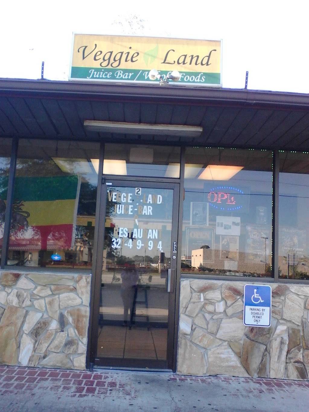 Veggieland | restaurant | 1516-1528 Palm Bay Rd NE, Palm Bay, FL 32905, USA | 3214994934 OR +1 321-499-4934