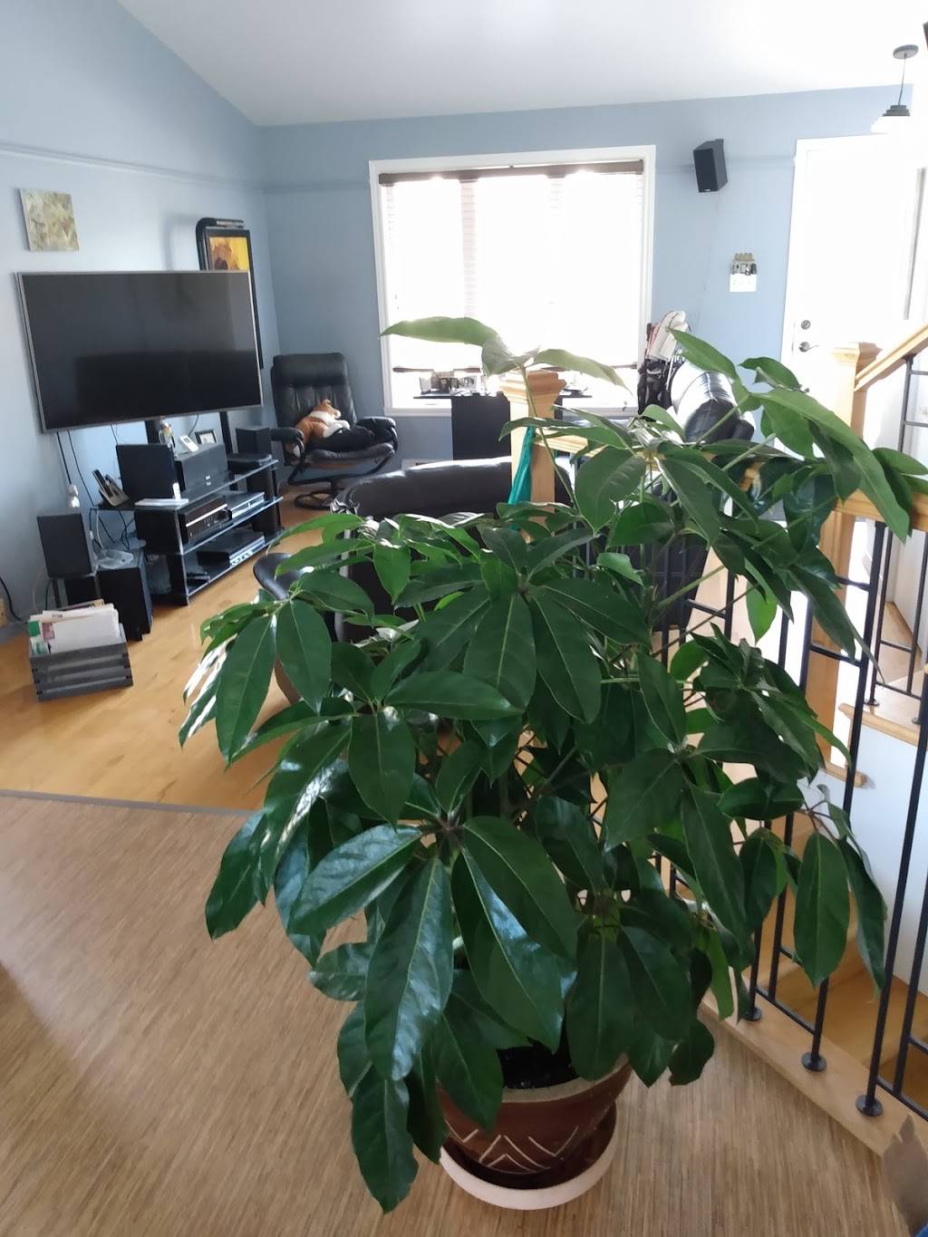 Restaurant Au Bon Accueil | restaurant | 2800 Rue de Ramezay, Trois-Rivières, QC G8Z 2J1, Canada | 8193764314 OR +1 819-376-4314