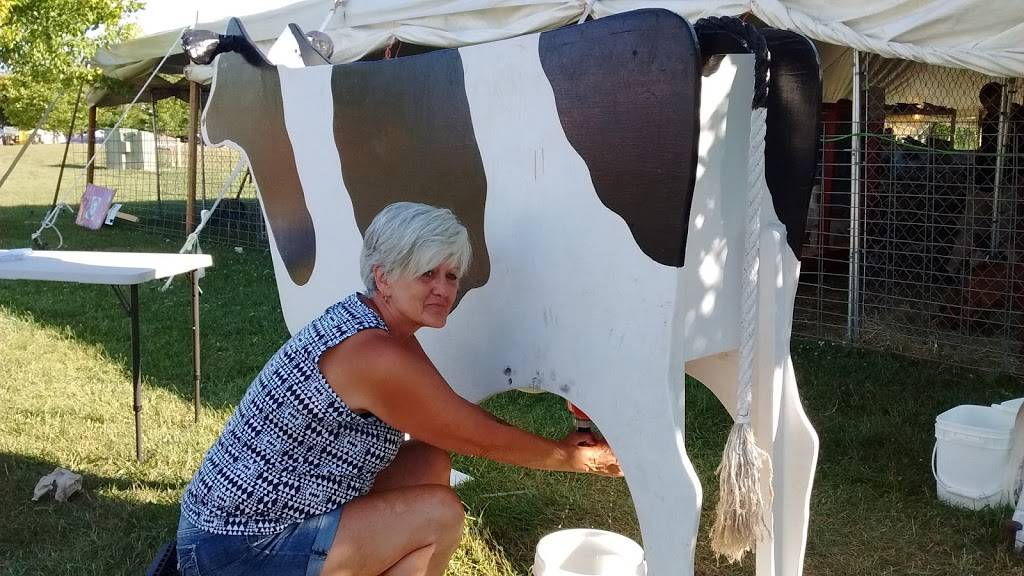 Dairy Queen Store | restaurant | 236 Fairbanks St, Marine City, MI 48039, USA | 8107655096 OR +1 810-765-5096