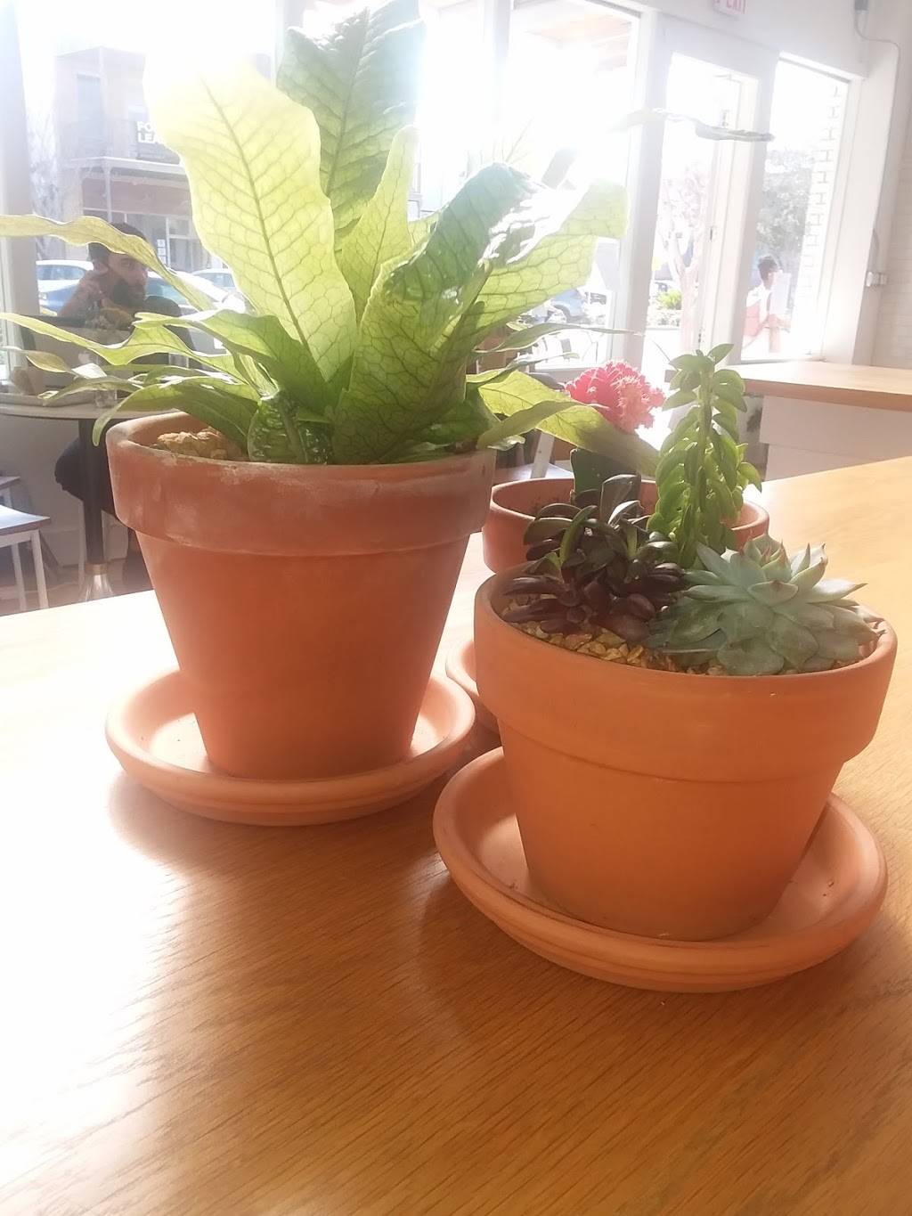 Avocado Valley | restaurant | 1113 Central Ave, St. Petersburg, FL 33705, USA | 7274858755 OR +1 727-485-8755