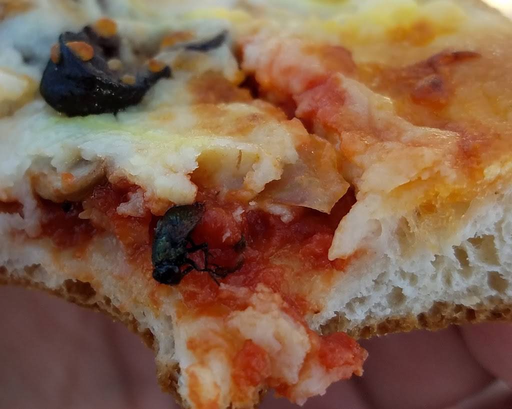 Papa Johns Pizza | restaurant | 18378 US Hwy 19 N, Clearwater, FL 33764, USA | 7275237272 OR +1 727-523-7272