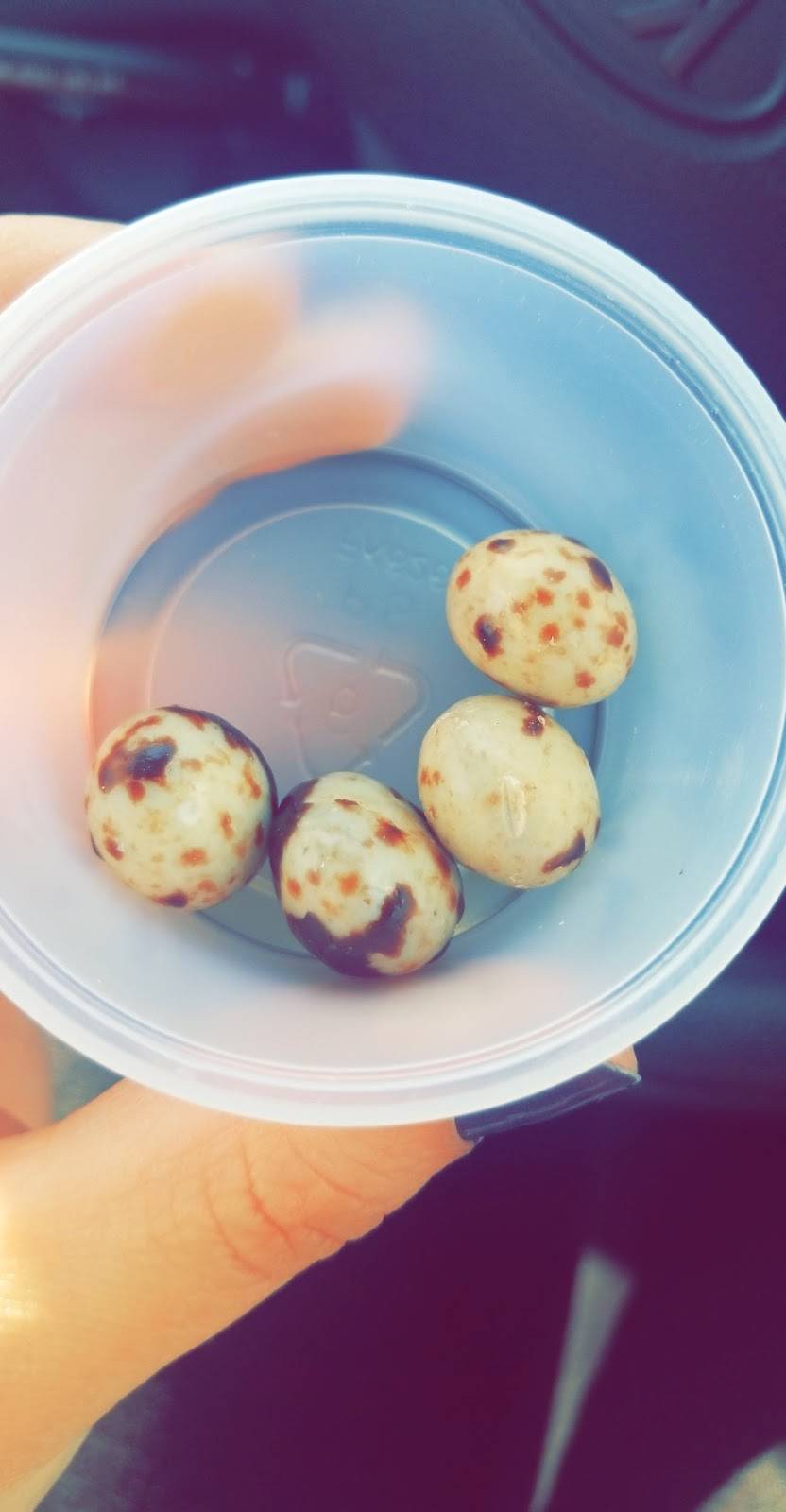 The Human Bean | cafe | 3310 23rd Ave, Evans, CO 80620, USA | 9703305792 OR +1 970-330-5792