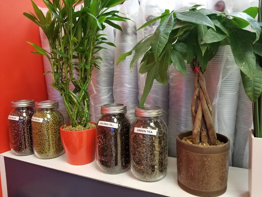 Kung Fu Tea | cafe | 12630 Beach Blvd #1, Jacksonville, FL 32246, USA | 9043370627 OR +1 904-337-0627