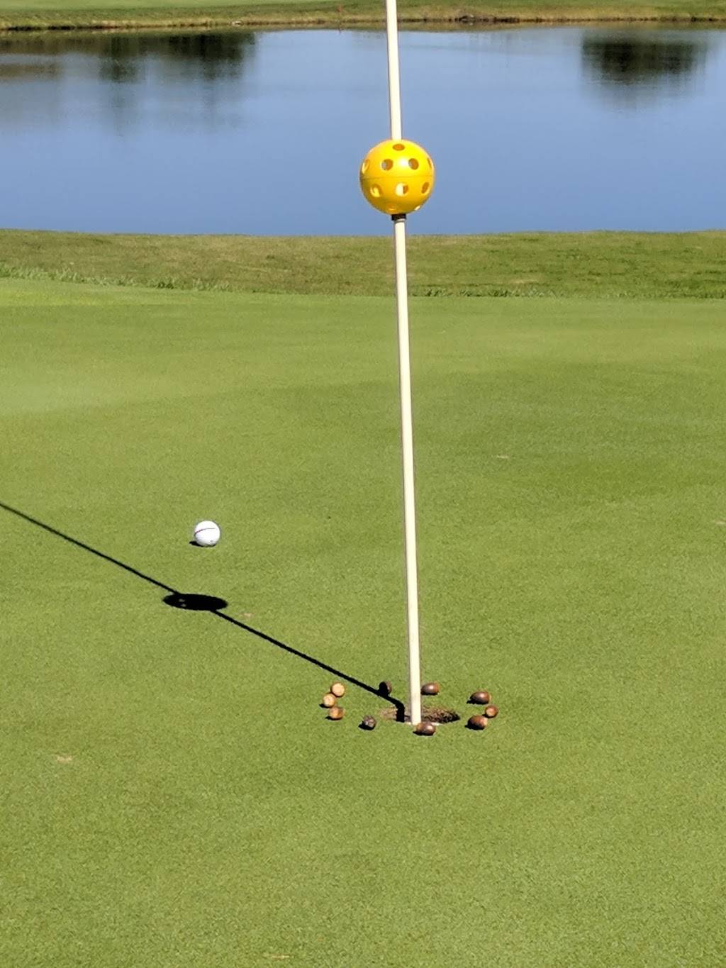 Cog Hill Golf & Country Club | restaurant | 12294 Archer Ave, Lemont, IL 60439, USA | 8662644455 OR +1 866-264-4455