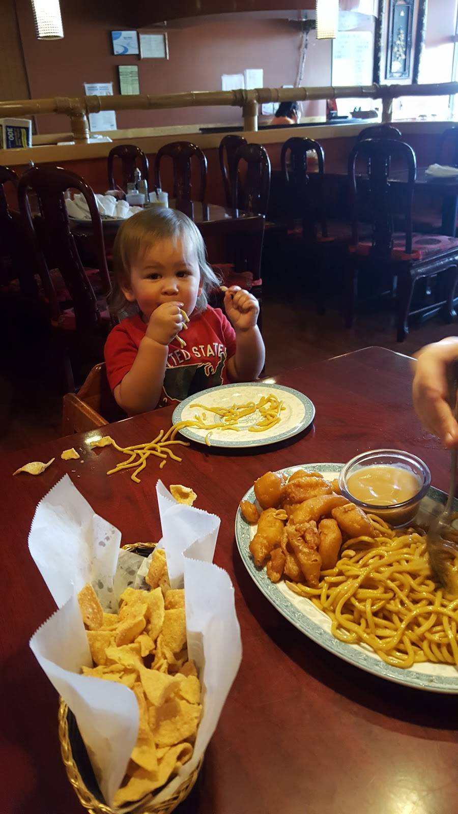 China Star | restaurant | 1705 GA-42, McDonough, GA 30253, USA | 6784321919 OR +1 678-432-1919