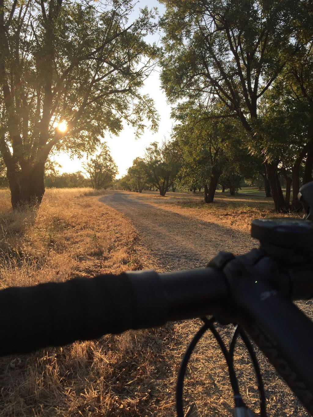 Wildhorse Golf Club | restaurant | 2323 Rockwell Dr, Davis, CA 95618, USA | 5307534900 OR +1 530-753-4900