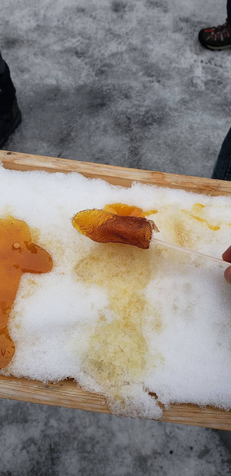 Les boisés dAmélie | restaurant | 3600 Chemin du Lac Castor, Saint-Paulin, QC J0K 3G0, Canada | 8192442846 OR +1 819-244-2846