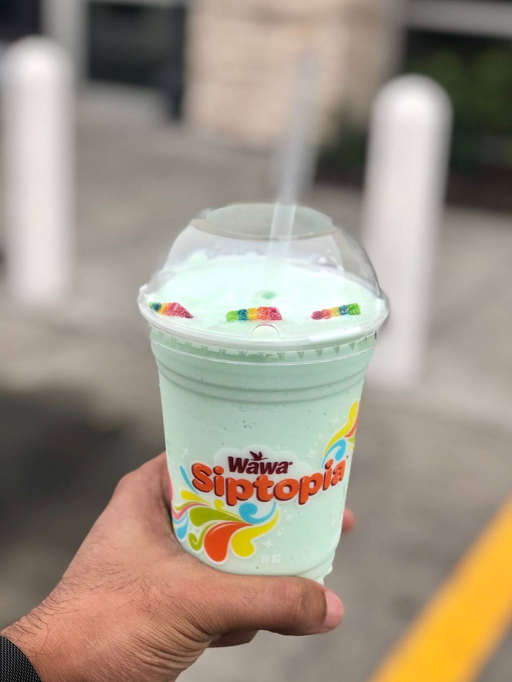 Wawa | cafe | 26508 US Hwy 19 N, Clearwater, FL 33761, USA | 7273148002 OR +1 727-314-8002