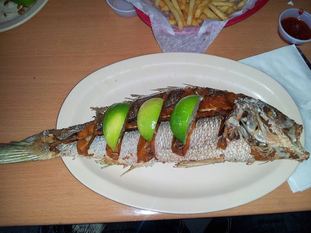 Navas Kosher Kitchen | restaurant | 5021 S State Rd 7 #203, Davie, FL 33314, USA | 9545883701 OR +1 954-588-3701