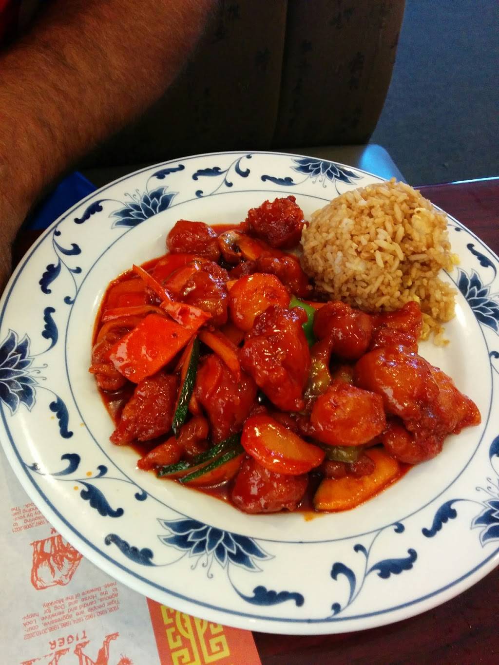 J & M Chinese Restaurant | restaurant | 1035 N Ellsworth Rd, Mesa, AZ 85207, USA | 4809866882 OR +1 480-986-6882