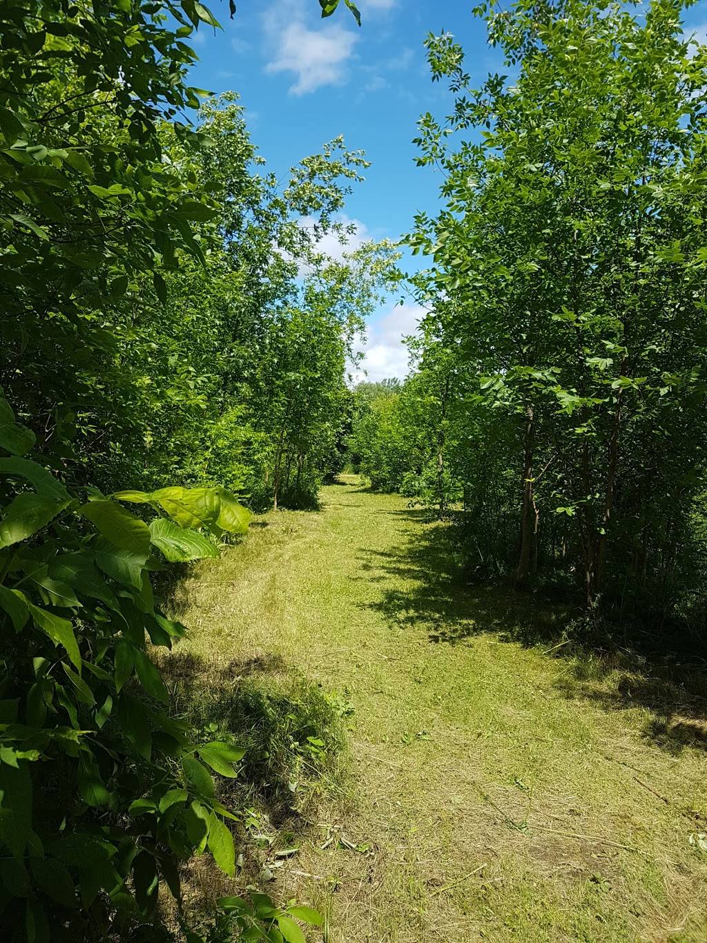 Club de Golf Le Versant Inc | restaurant | 2075 Côte de Terrebonne, Terrebonne, QC J6Y 1H6, Canada | 4509642251 OR +1 450-964-2251