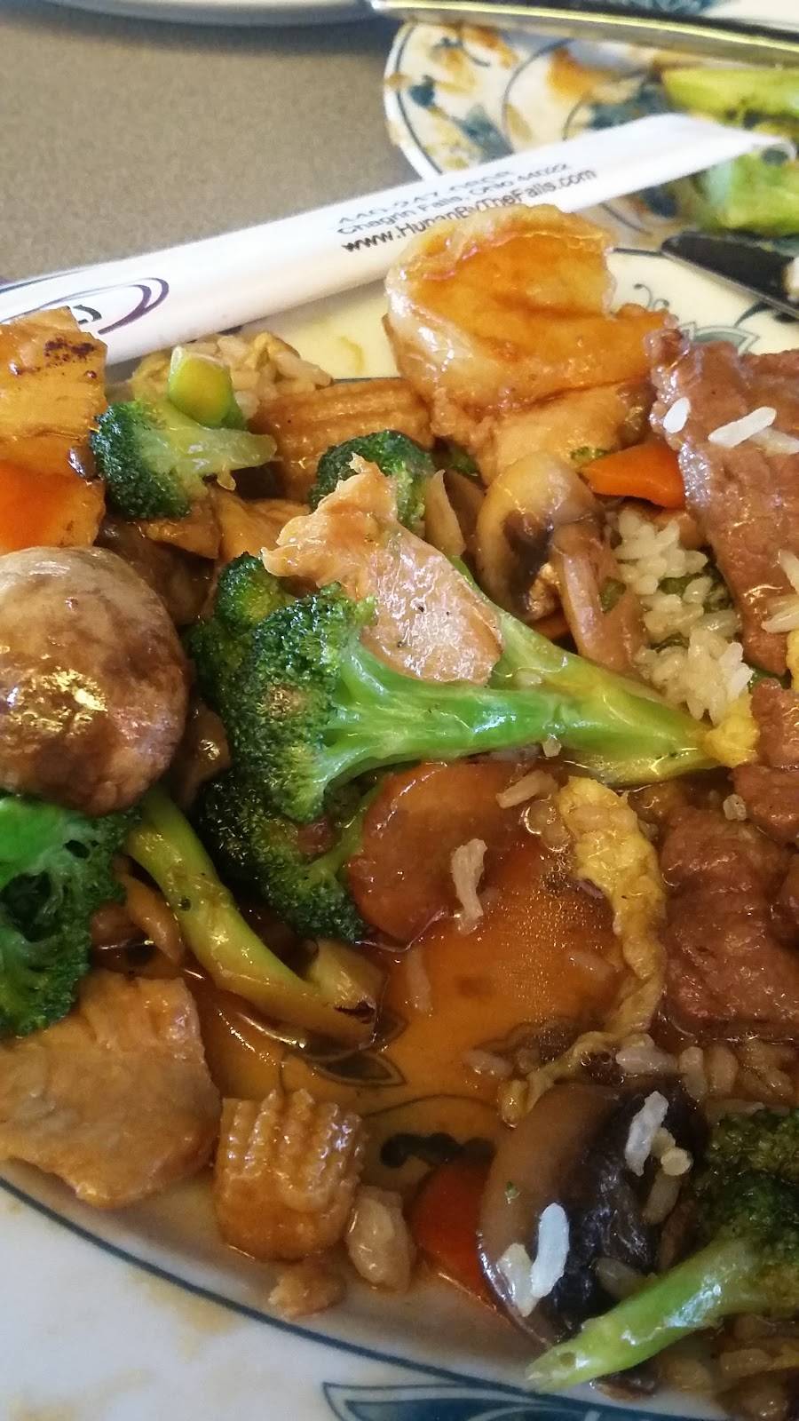 Hunan By the Falls | restaurant | 508 Washington St, Chagrin Falls, OH 44022, USA | 4402470808 OR +1 440-247-0808