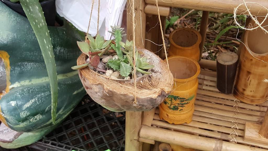 Jungle Prada Tavern | restaurant | 1700 Park St N, St. Petersburg, FL 33710, USA | 7279147776 OR +1 727-914-7776