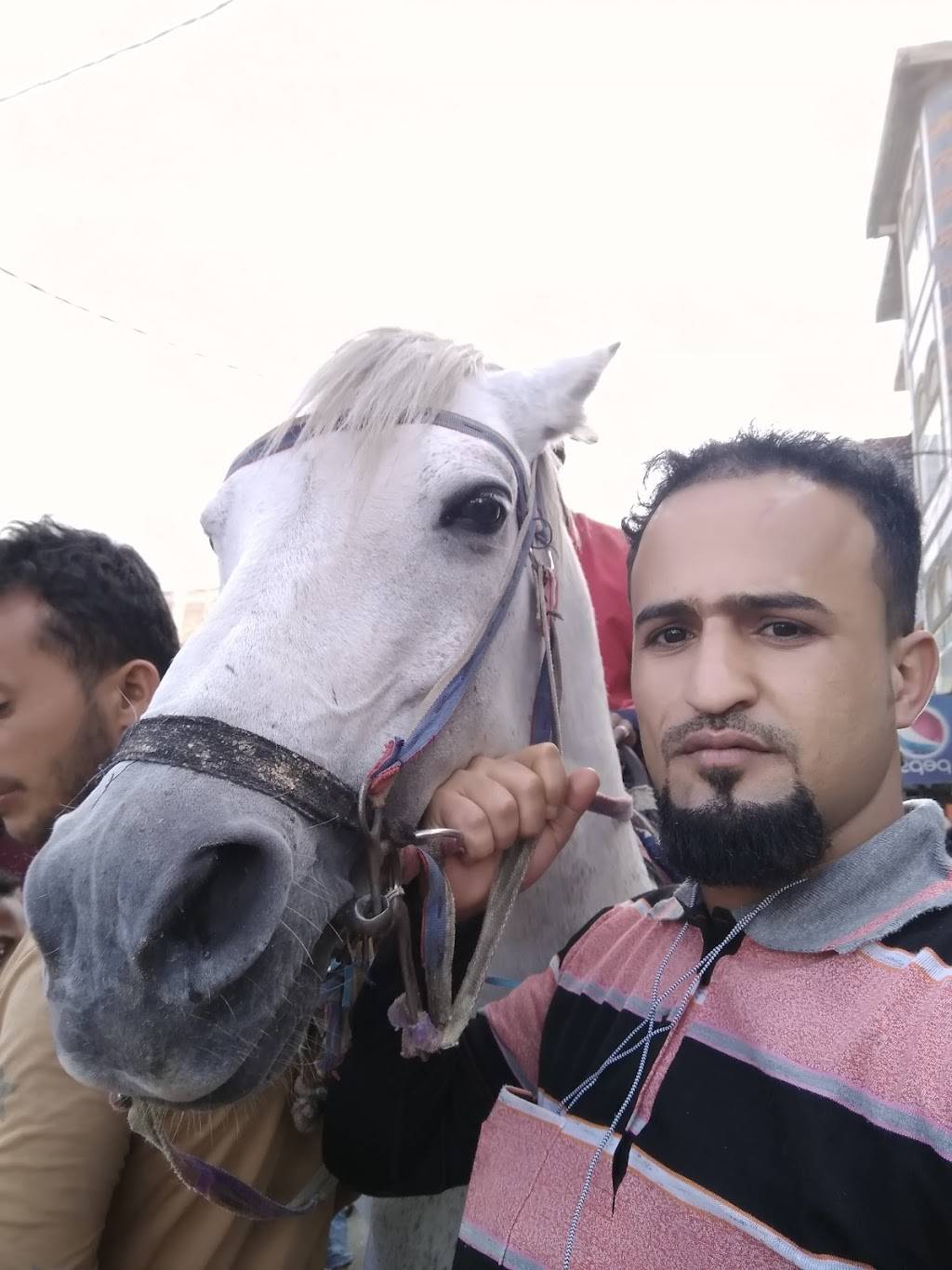 Advertising Net | restaurant | 395 Page Mill Rd, Palo Alto, CA 94306, USA | 8002967104 OR +1 800-296-7104