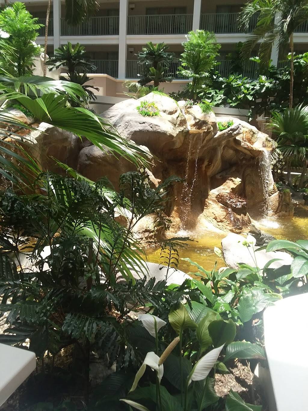 Terrace 555 Restaurant & Bar | restaurant | 555 NW 62nd St, Fort Lauderdale, FL 33309, USA | 9547725400 OR +1 954-772-5400