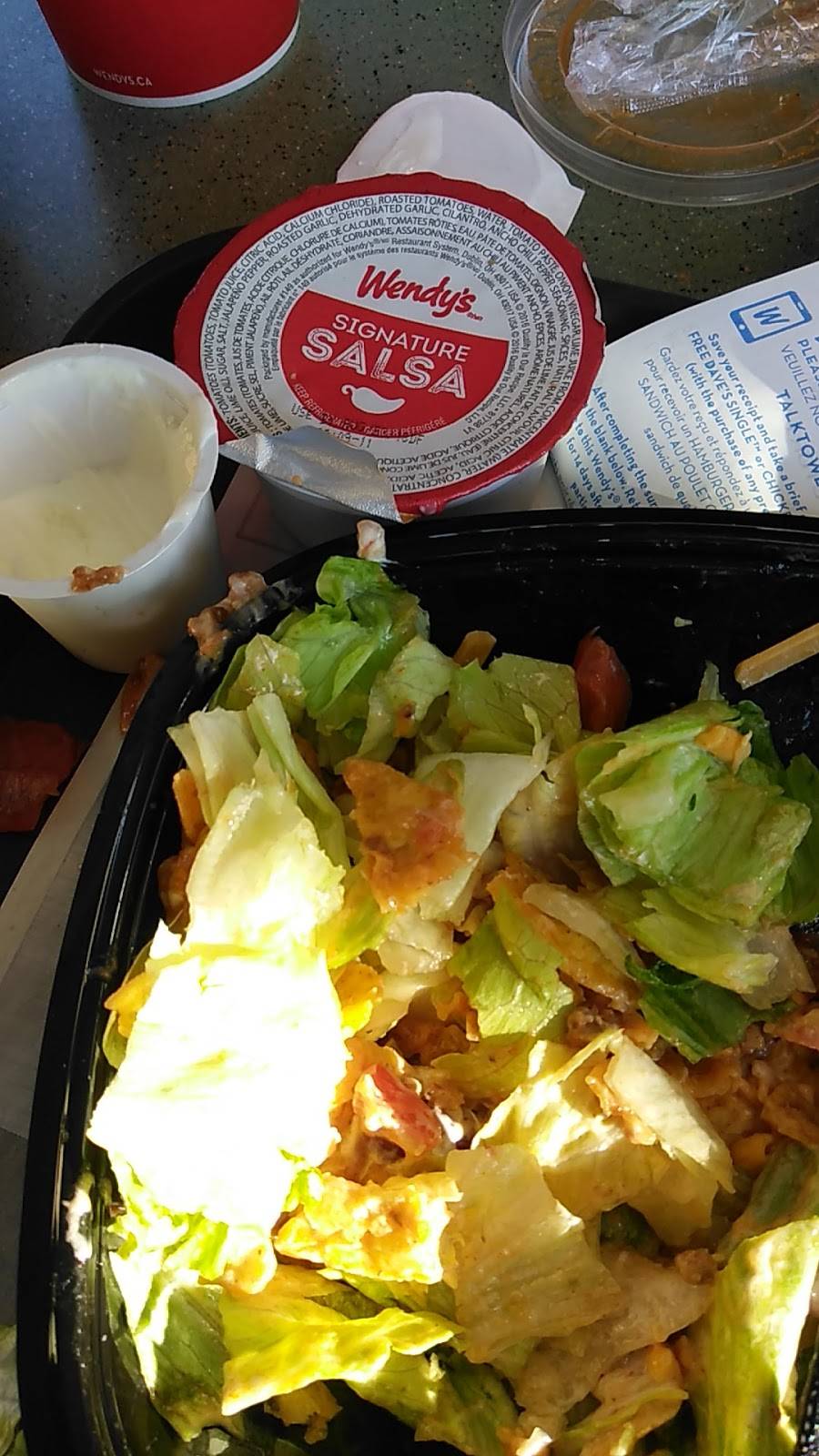 Wendys | restaurant | 345 Lake St, St. Catharines, ON L2N 4H5, Canada | 9059346421 OR +1 905-934-6421