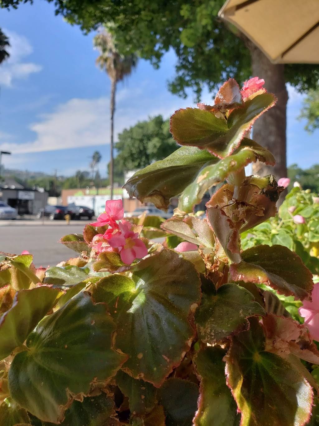 Nesmon Cafe and Boutique | restaurant | 13333 Ventura Blvd, Sherman Oaks, CA 91423, USA | 8188558818 OR +1 818-855-8818