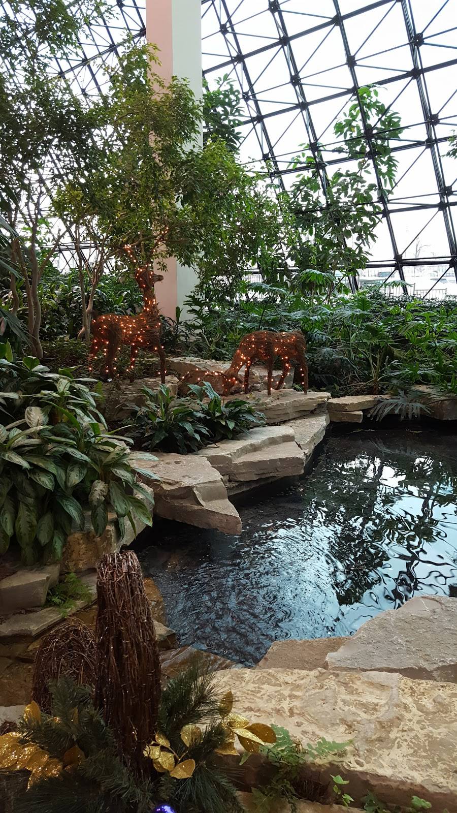 Skyline Club - Southfield | restaurant | 2000 Town Center, Southfield, MI 48075, USA | 2483509898 OR +1 248-350-9898