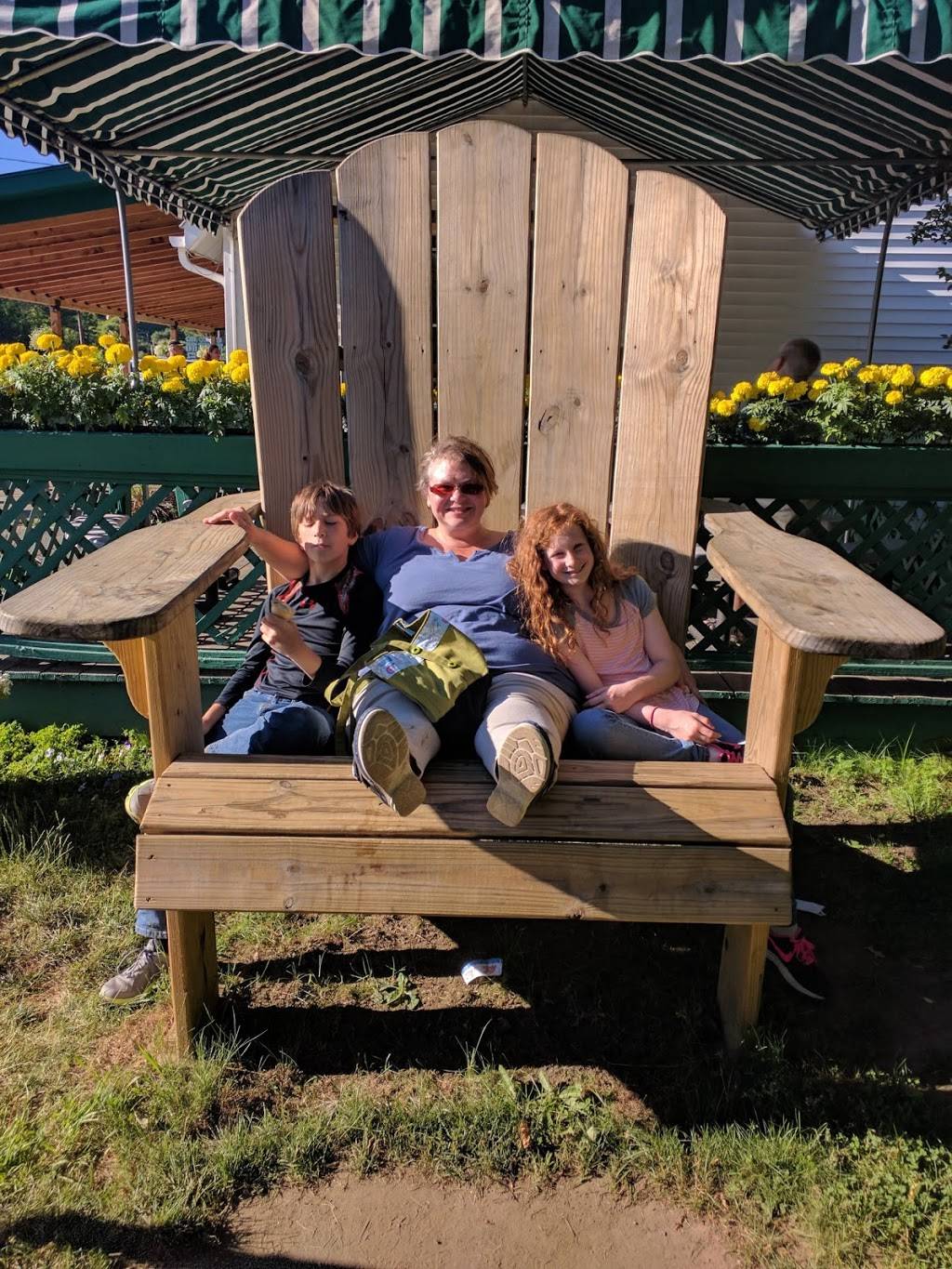 Villagers Ice Cream Restaurant | restaurant | 4261 VT-106, Perkinsville, VT 05151, USA | 8022635677 OR +1 802-263-5677