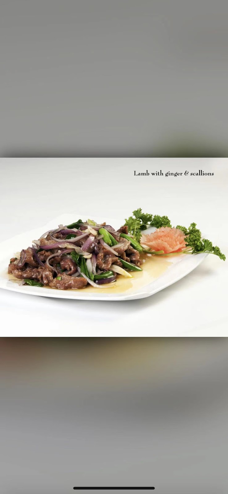 Ichiban 四川 | restaurant | 610 S Park St, Madison, WI 53715, USA | 6088198808 OR +1 608-819-8808