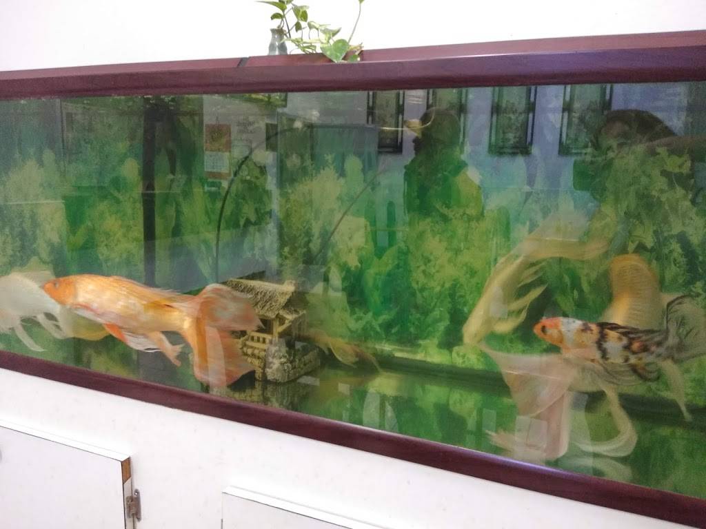 Uncle Wens China Express | restaurant | 1100 N Tuttle Ave, Sarasota, FL 34237, USA | 9413650434 OR +1 941-365-0434