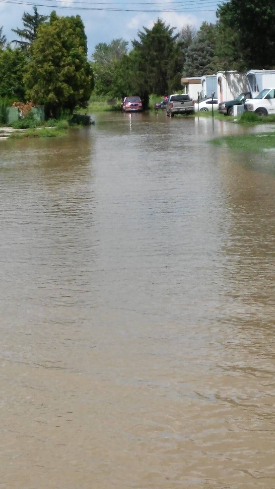 Cygnet Pizza & Subs | restaurant | 206 Front St, Cygnet, OH 43413, USA | 4196552455 OR +1 419-655-2455