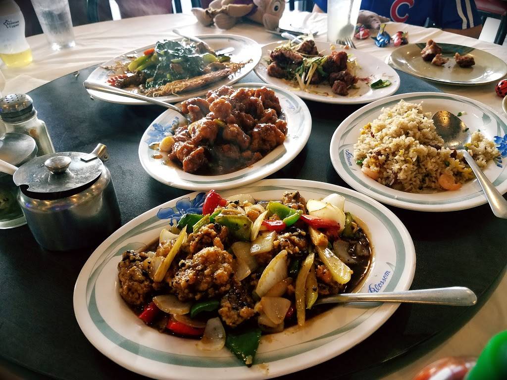 A-Ly Oriental Food Restaurant | restaurant | 11360 Bellaire Blvd #260, Houston, TX 77072, USA | 2815757888 OR +1 281-575-7888