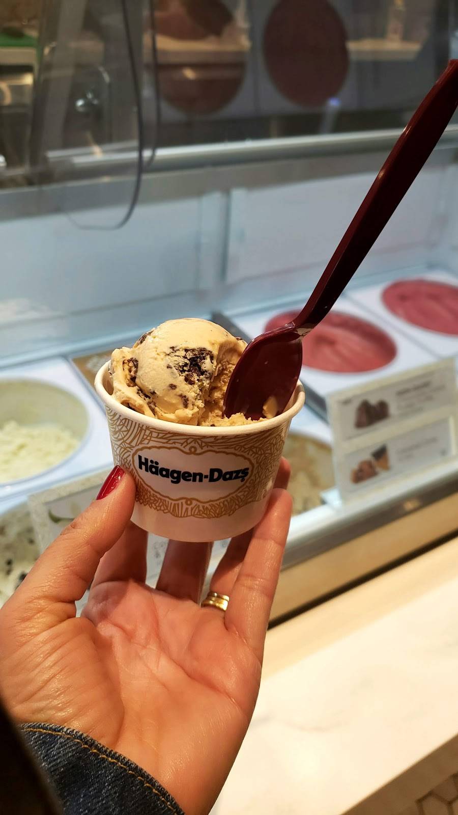 Haagen Dazs | restaurant | 1605 Briargate Pkwy # 119, Colorado Springs, CO 80920, USA | 7195983262 OR +1 719-598-3262