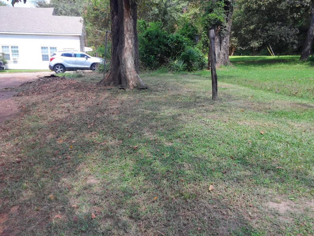 Jalisco Tacos | restaurant | 1003 Martin Luther King Jr Blvd, Nacogdoches, TX 75961, USA | 9365609800 OR +1 936-560-9800