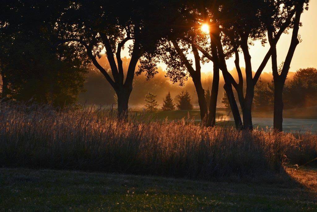 Firethorn Golf Club | restaurant | 9301 Firethorn Ln, Lincoln, NE 68520, USA | 4024886467 OR +1 402-488-6467