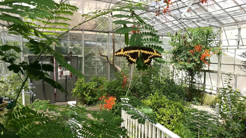 The Shops at The Butterfly Estates and Florida Native Butterfly  | restaurant | 1815 Fowler St, Fort Myers, FL 33901, USA | 2396902359 OR +1 239-690-2359