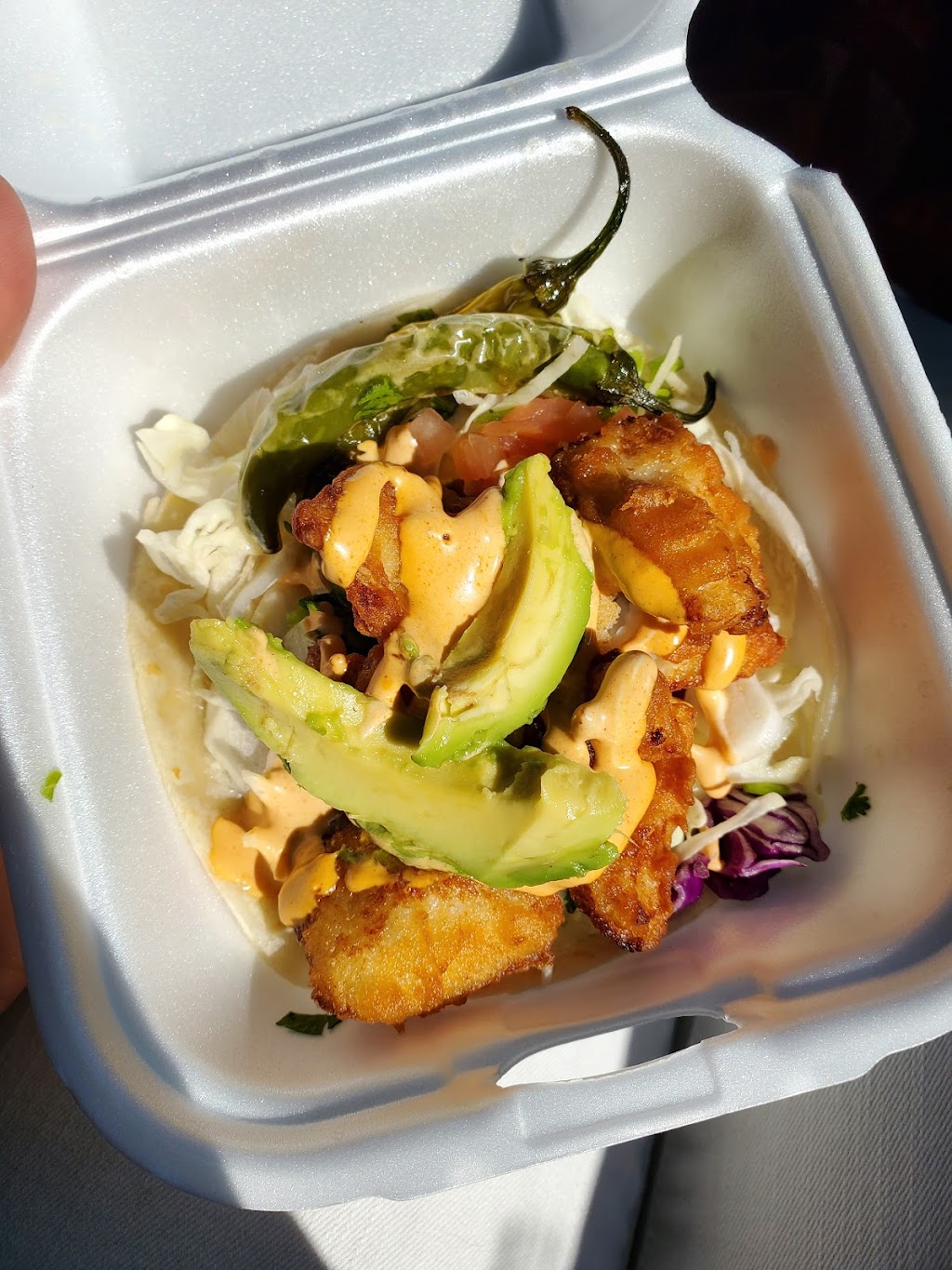 Solis Taco Wagon | restaurant | 24901 N 163rd Ave, Surprise, AZ 85387, USA | 6025132367 OR +1 602-513-2367