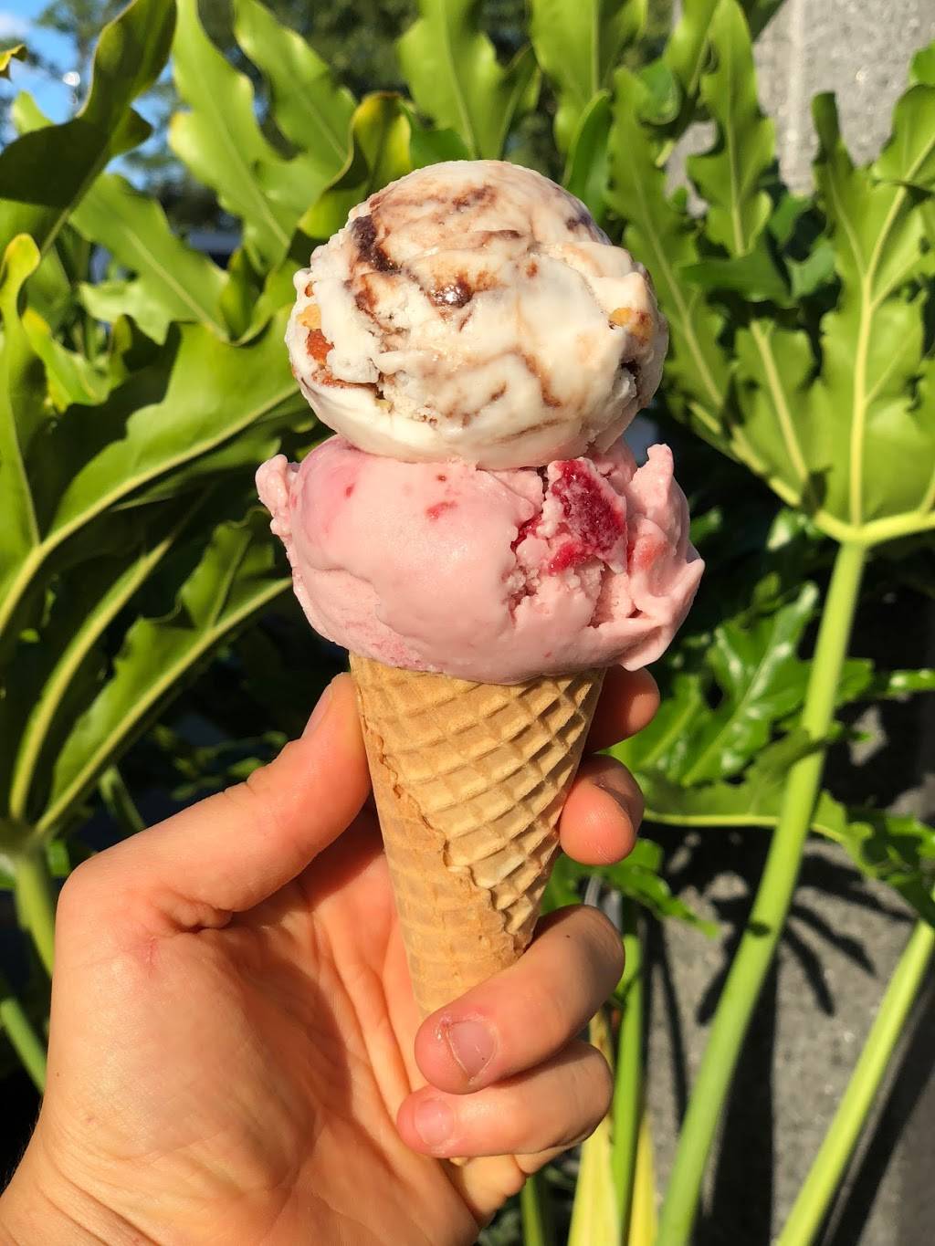 Florida Creamery | restaurant | 3566 St Johns Ave, Jacksonville, FL 32205, USA | 9045030901 OR +1 904-503-0901