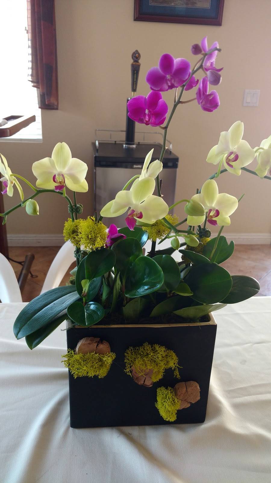 G K Wu China Market Consultant | restaurant | 1055 Calle Del Amor, Chula Vista, CA 91910, USA | 6196562638 OR +1 619-656-2638