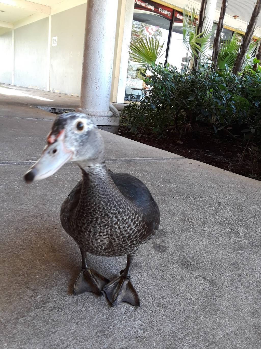 JTs Sports Bar & Grill | meal takeaway | 10466 Taft St, Pembroke Pines, FL 33026, USA | 9544413833 OR +1 954-441-3833