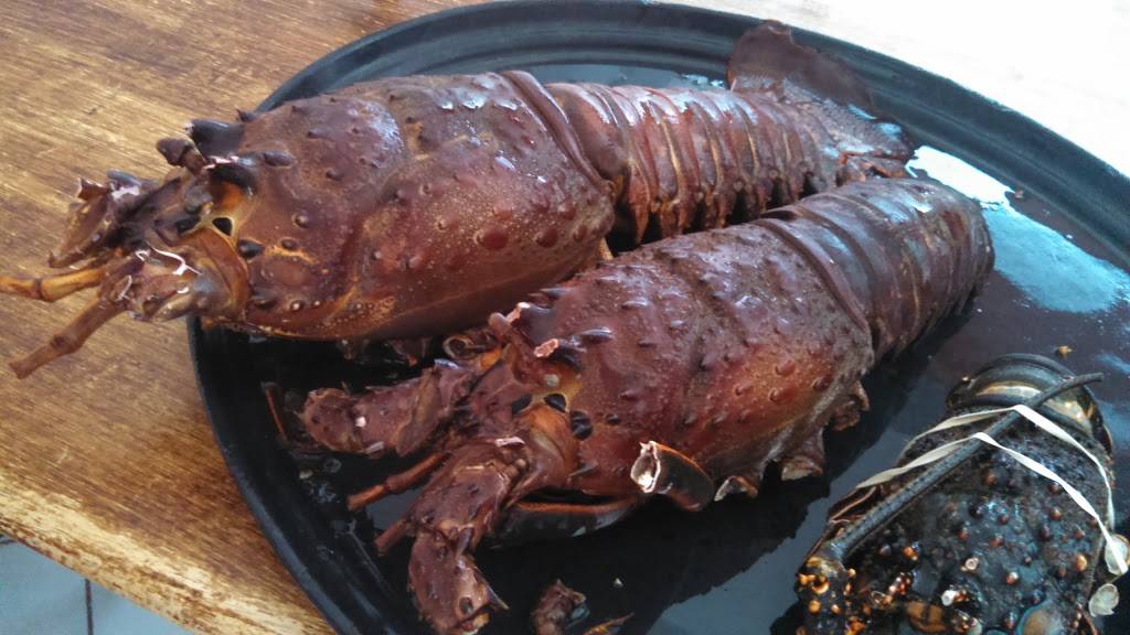 Restaurant Chela | restaurant | Chinchorro 11, 22700 Puerto Nuevo, B.C., Mexico | 016616141342 OR +52 661 614 1342